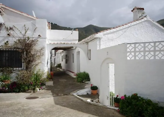 The Vine Rubite (Granada)