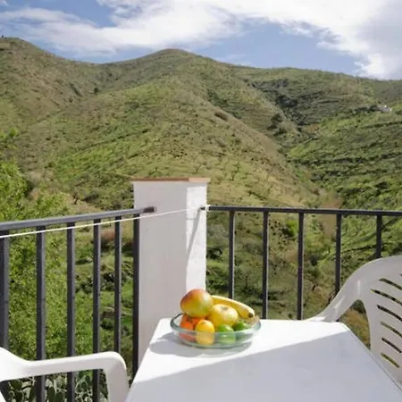 The Vine Rubite (Granada)