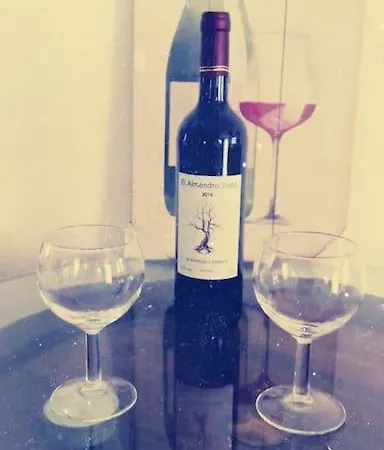 The Vine