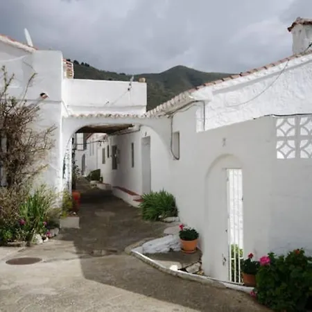 The Vine Rubite (Granada)