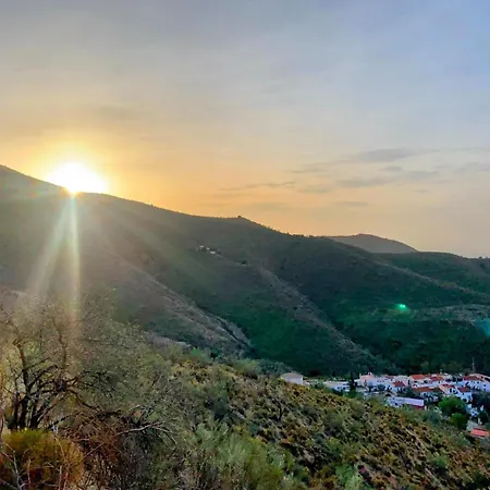 Apartament The Vine *