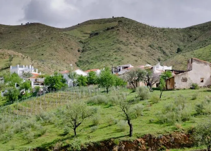 The Vine Apartman
