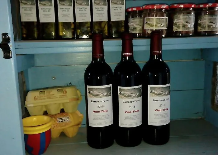 Apartman The Vine *