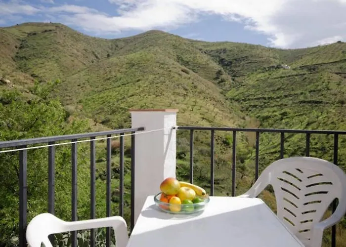 The Vine Rubite (Granada)